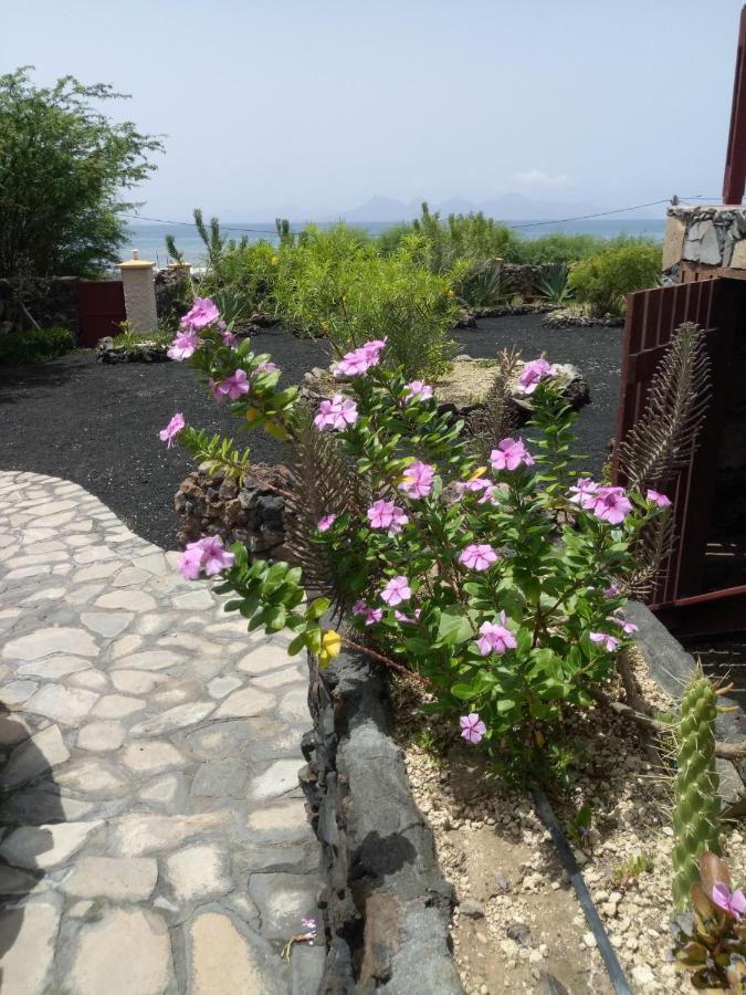 Coin De Paradis,Pavillon Doucimar Porto Novo Eksteriør billede